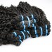 Stema Double Drawn Curly Virgin Human Hair With 4x4 Lace Closure